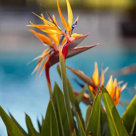 Boutique Hort De Nal Hotel