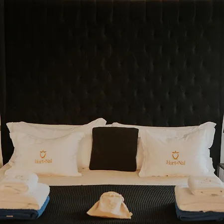 Hotel Boutique Hort De Nal Elche